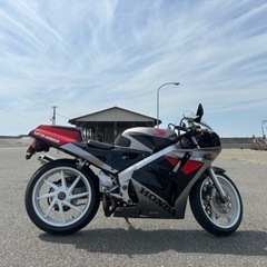 サーキット連れてってください。