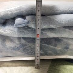 毛布 京都西川 2枚セットの画像