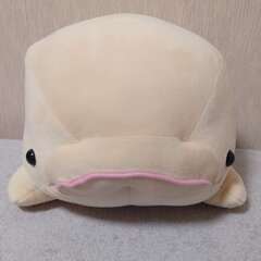 八景島シーパラダイス シロイルカ ぬいぐるみ