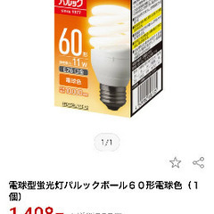 半額以下!! パルックボール 電球形蛍光灯 