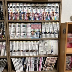 【5月末まで】漫画付き本棚