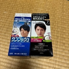 コスメ/ヘルスケア ヘアケア