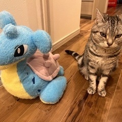 ポケモン　ぬいぐるみ　ラプラス