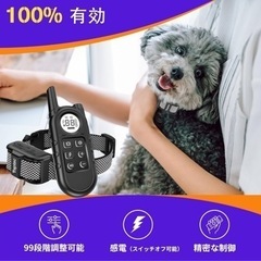 値下げ不可ペット躾首輪の画像