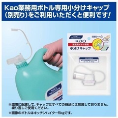 新品　花王　手指消毒　除菌　アルコール消毒　ハンドスキッシュEXの画像