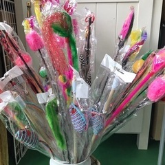 猫ジャラシ　2本　100円　早い者勝ち　鶴見緑地すぐ