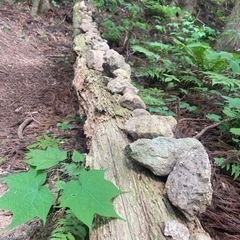 奥獅子吼登山⛰️ - 友達