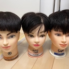 刈り上げ済みカットウィッグ