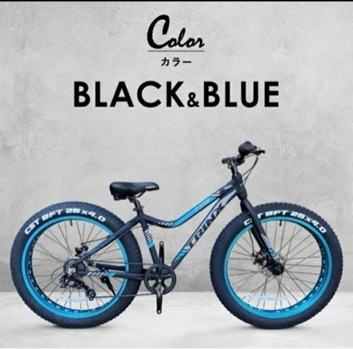 ファットバイク