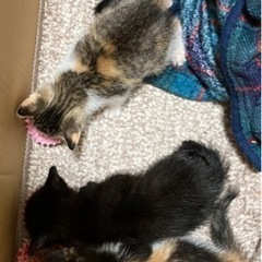 決まりました！