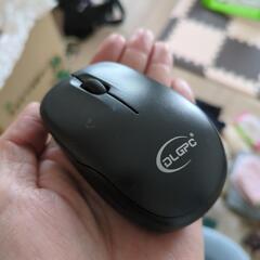 DLGPC マウス 難ありの画像