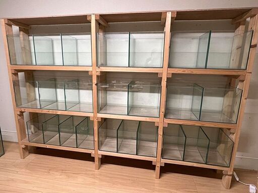 小型水槽24本+自作ラック