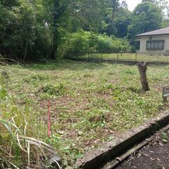 長生村の土地、お譲りします。の画像