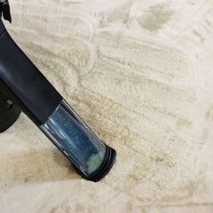 リンサークリーナー貸出1週間1500円割引あり - 小平市