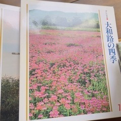 写真集　風景　絵本の画像