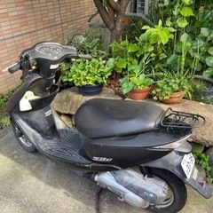 ホンダDIOの画像
