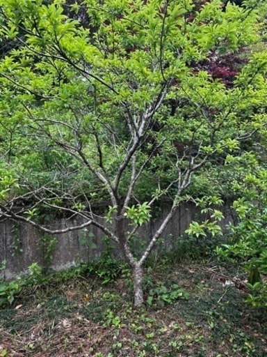 工場 生活雑貨 家庭用品 ガーデニング