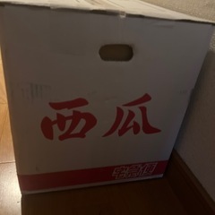 熊本県 スイカ