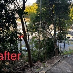 草刈り・伐採・造園作業なんでもご依頼ください！ - 地元のお店