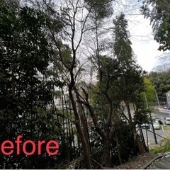 草刈り・伐採・造園作業なんでもご依頼ください！ − 千葉県