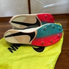 Nike Dragonfly 27cmの画像