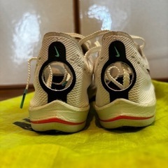 Nike Dragonfly 27cmの画像