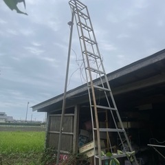 ハシゴ　1個の画像