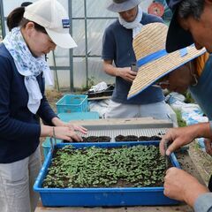 しがらきの里 農業塾第2回　夏野菜を植えてみよう！