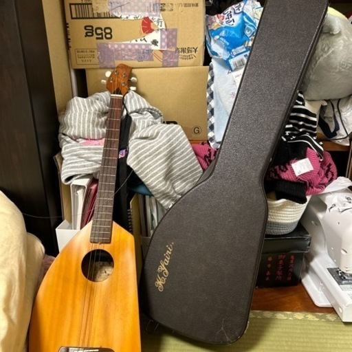 楽器 弦楽器、ギター