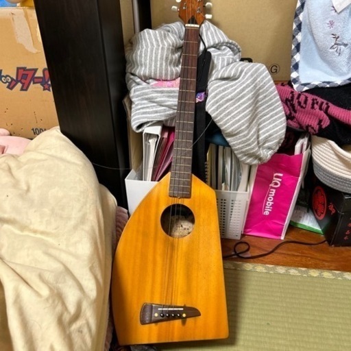 楽器 弦楽器、ギター