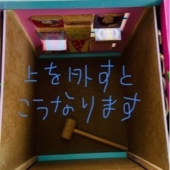 決まりましたプリンセスジャイアントボックスの画像