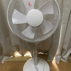 家電 季節、空調家電 扇風機の画像