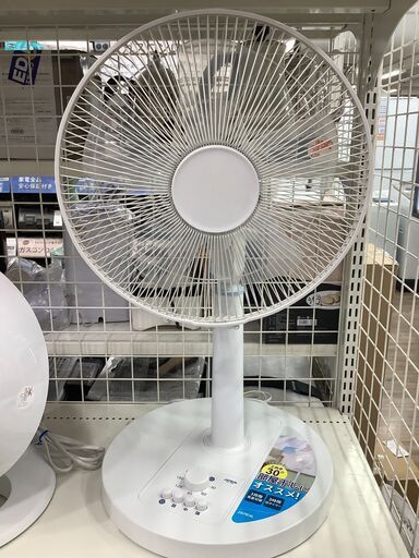 2019年製！リビング扇風機を買取しました！
