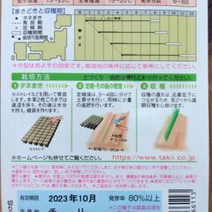 野菜苗 根深ネギ　苗１０本セット　ホワイトスピア　１本ネギ　農薬不使用の画像