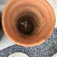 生活雑貨 家庭用品 ガーデニングの画像