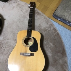 ファリダ　アコースティックギター　レア？