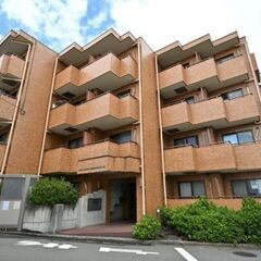 🌞💕ライオンズマンションで総賃料43,000円/月！😲🌟敷金・礼...