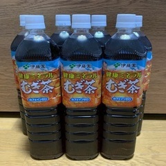 伊藤園　むぎ茶