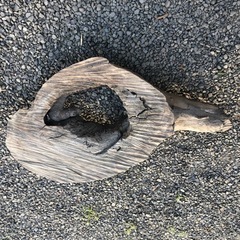 木材　廃材の画像