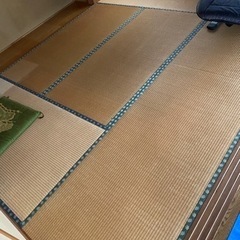 畳 計12枚