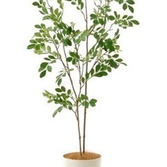フェイク観葉植物