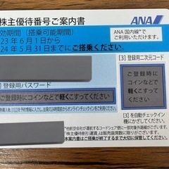 2024.05.31有効期限【ANA株主優待】