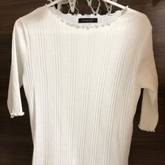 Ｔシャツ / 白（ホワイト）