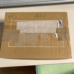 ヤシャブシの実400個の画像