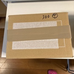 ヤシャブシの実300個の画像