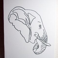 野生動物のぬりえアート