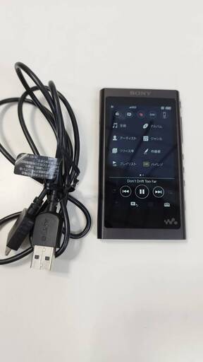 SONY ウォークマン Aシリーズ NW-A55/16GB
