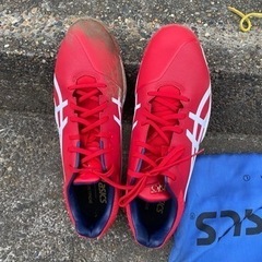 スポーツ 野球