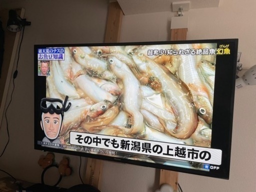 43型液晶テレビ