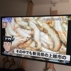 43型液晶テレビ
